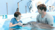 Dolphin Tale Trailer