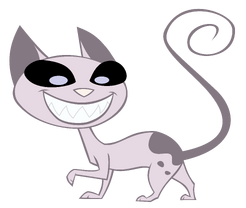 Mr. Kat