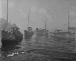 Tugsshrimpers