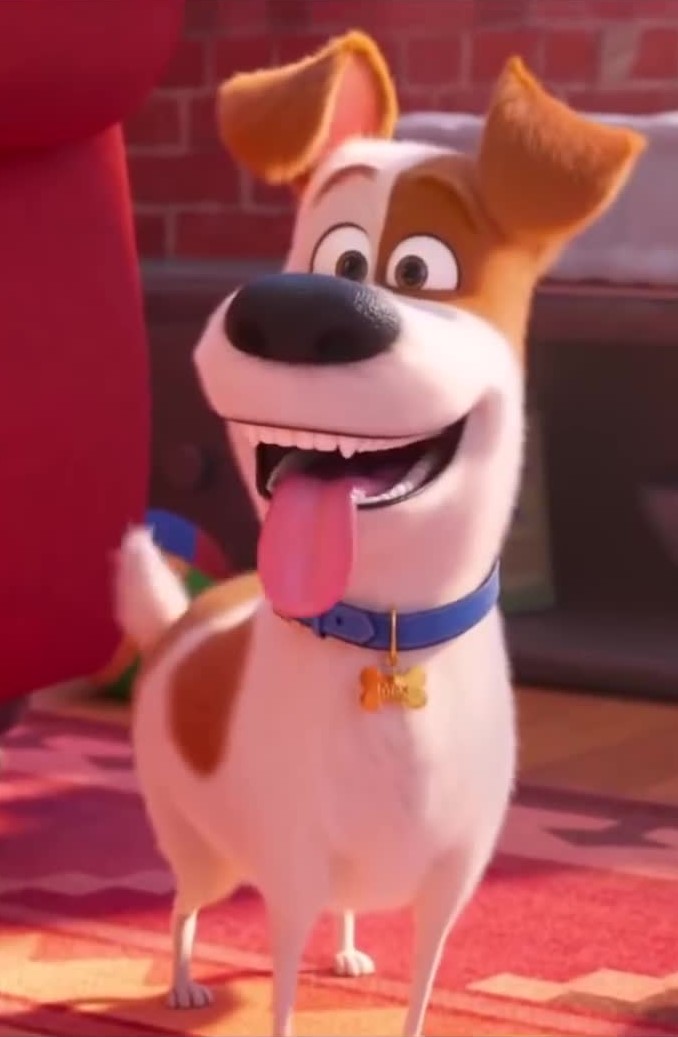 max the secret life of pets
