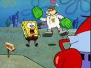 SpongeBob SquarePants x16