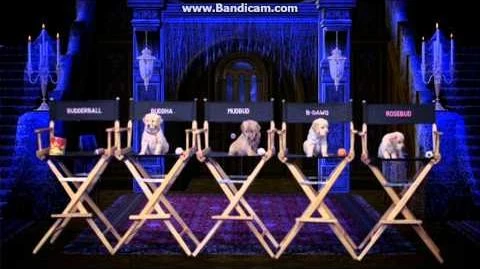 wallpapers Opening To Gnomeo And Juliet 2011 Dvd opening to gnomeo juliet 2011 dvd