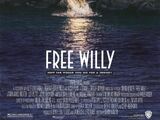 Opening to Free Willy 1993 Theater (Regal Cinemas)