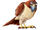 Tiberius (The Secret Life of Pets)