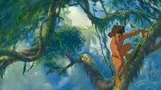 Tarzan Swinging