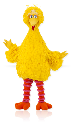 Big Bird, Scratchpad