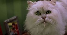 Stuart Little 1999 Trailer