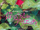 The Secret World of Arrietty