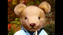 Teddy png.