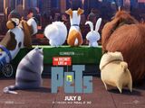 Opening to The Secret Life of Pets 2016 Theatre (AMC)