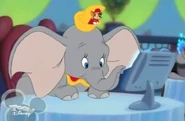 Timothy and Dumbo in the House of Mouse episode, Dining Goofy