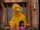 Zoe (Sesame Street)