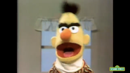 Bert