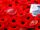 SpikeToronto/Remembrance Day 2014