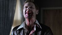 Vampir (1)