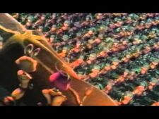 Antz trailer