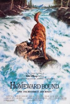 Homeward.bound dvd cover