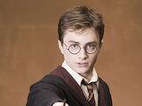Harry Potter (Character)