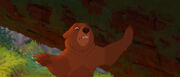 Brother-bear-disneyscreencaps