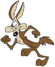 Wile E. Coyote | Scratchpad | Fandom