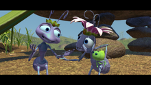 A bug's life