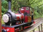 The real Rheneas