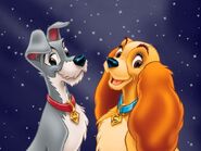 Lady and Tramp as Camels