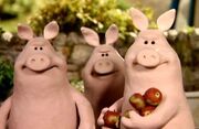 Naughty, Naughty, Pigs