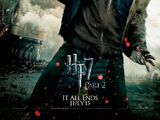 Opening to Harry Potter and the Deathly Hallows: Part 2 2011 Theater (Regal)