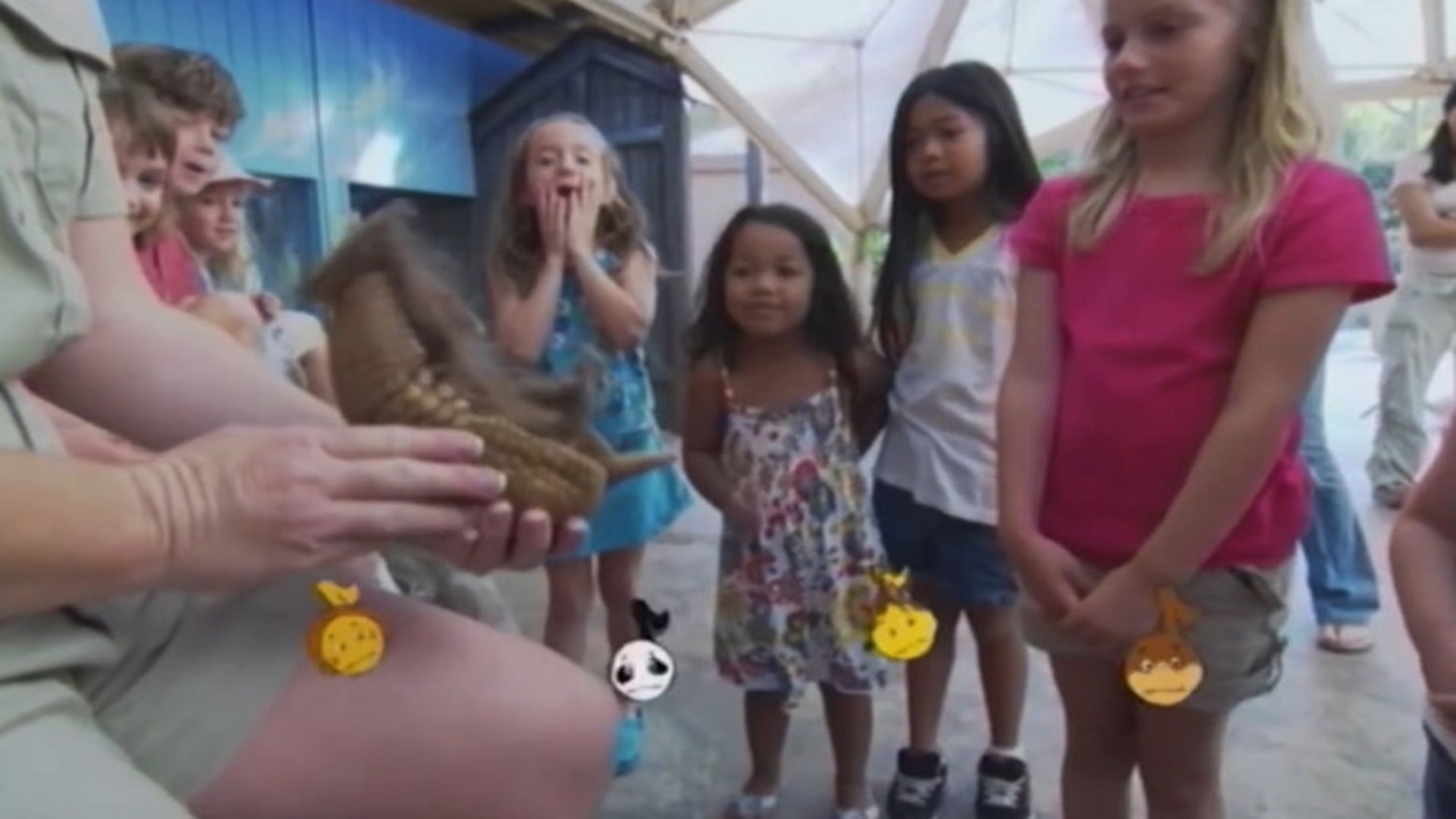 Amazon.com: Baby Genius: Baby Animals Favorite Sing-A-Longs