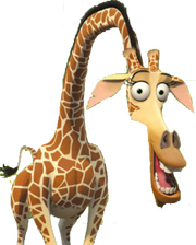 Cuki-melman