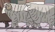 Various Sheep as Sheep