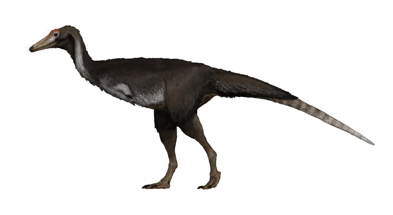 Kol | Scratchpad Video Wiki | Fandom