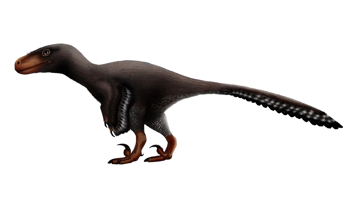 Utahraptor Scratchpad Video Wiki Fandom