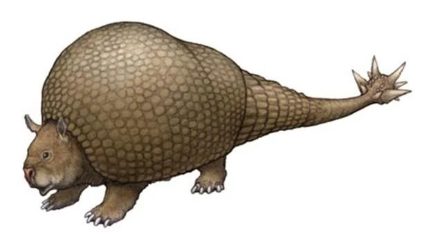 Doedicurus | Scratchpad Video Wiki | Fandom