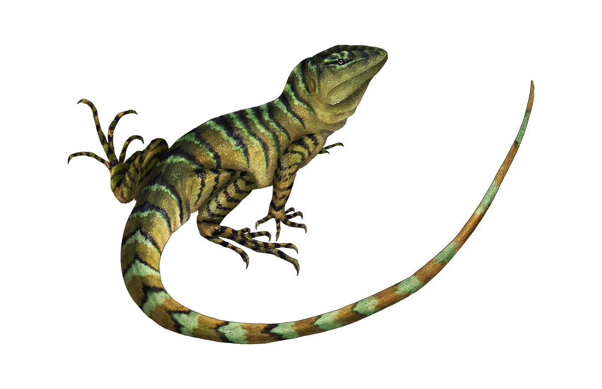 Chamops Scratchpad Video Wiki Fandom