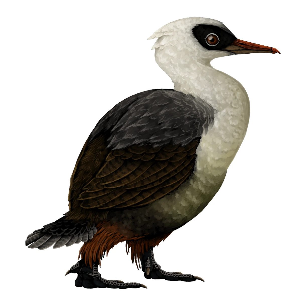 Brodavis Scratchpad Video Wiki Fandom