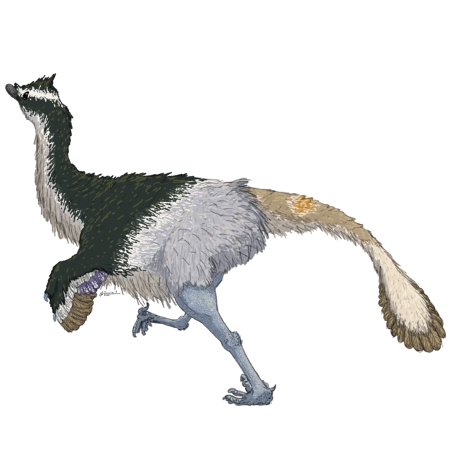 Hulsanpes Scratchpad Video Wiki Fandom