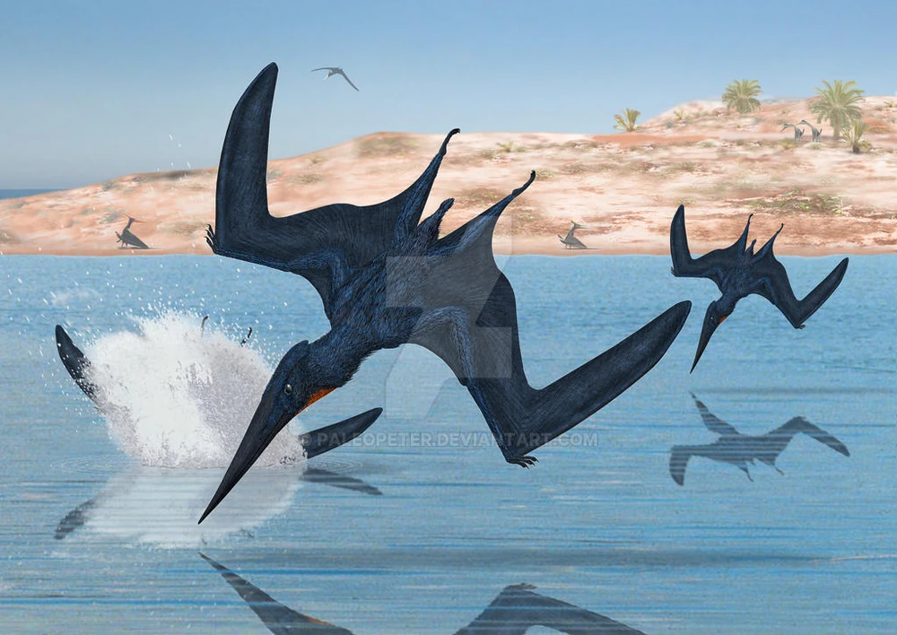 Alcione Scratchpad Video Wiki Fandom