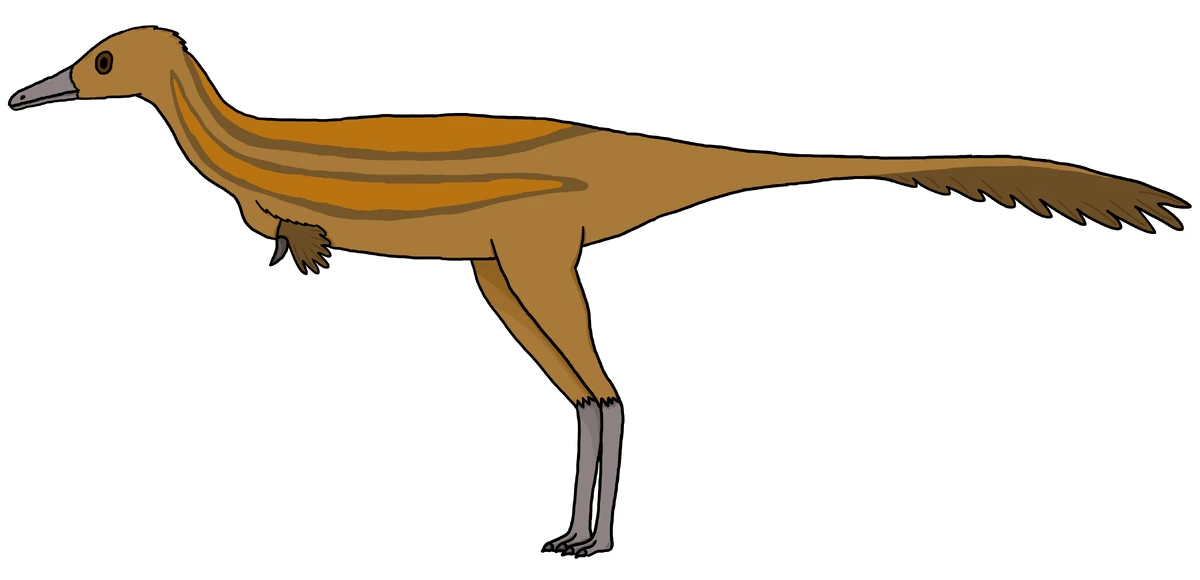 Bradycneme Scratchpad Video Wiki Fandom