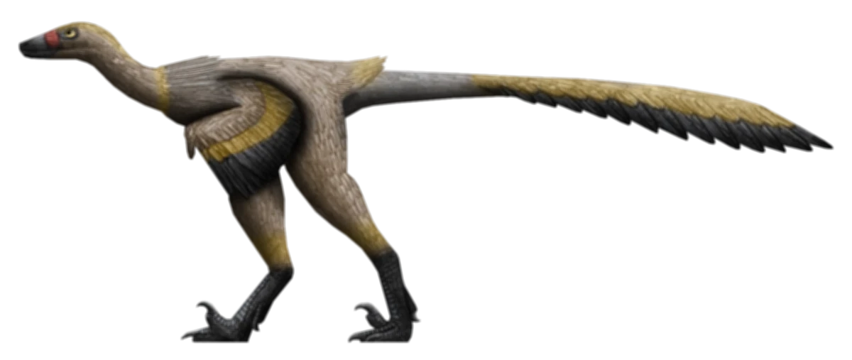 Hesperonychus Scratchpad Video Wiki Fandom