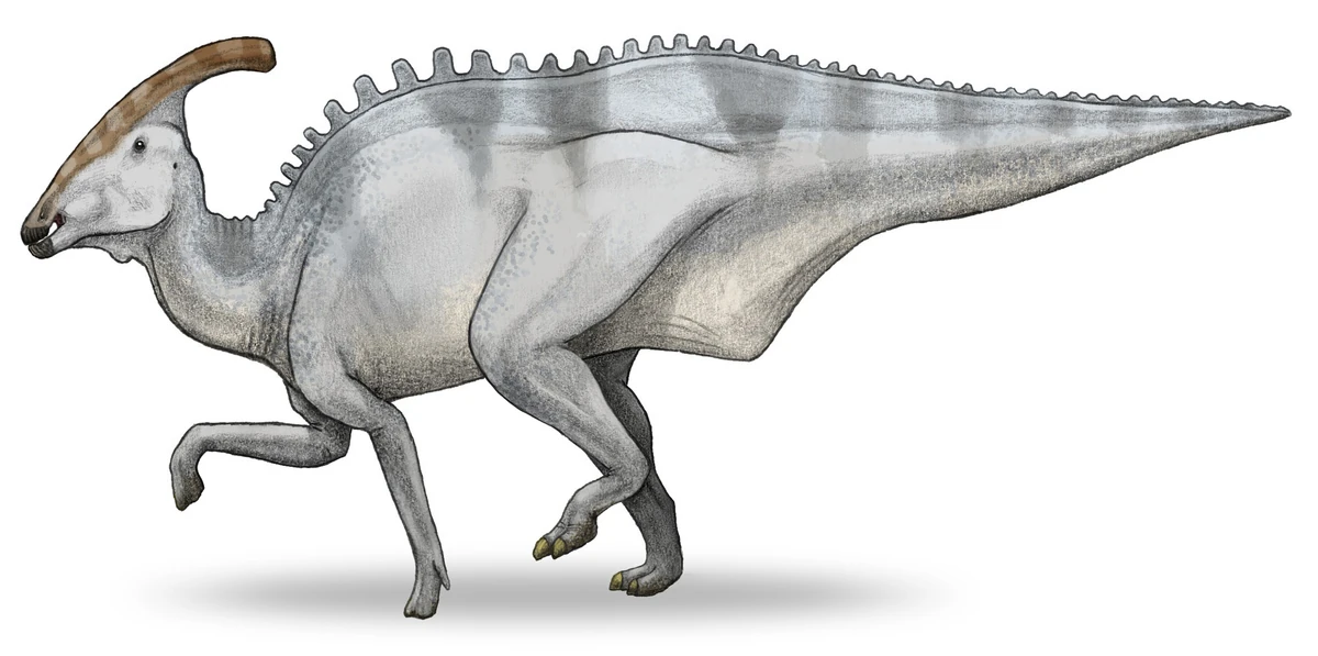 Charonosaurus | Scratchpad Video Wiki | Fandom