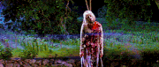 Casey's corpse hanging from tree