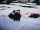 Tumblr py2j8yPju51x20wxqo10 r1 400.gif