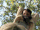 Tumblr pzl9ufBrml1y3lvsko4 r2 540.gif