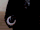 Tumblr phuq67dP001v1sd2go8 r1 500.gif