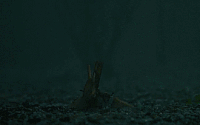 Tumblr pi78fqBF4p1ws0xyzo9 400
