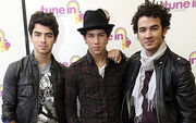 The jonas brothers