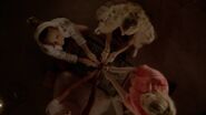 ScreamQueens107 2490.jpg (73 KB)