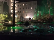 Cureswamp.jpeg (608 kB)